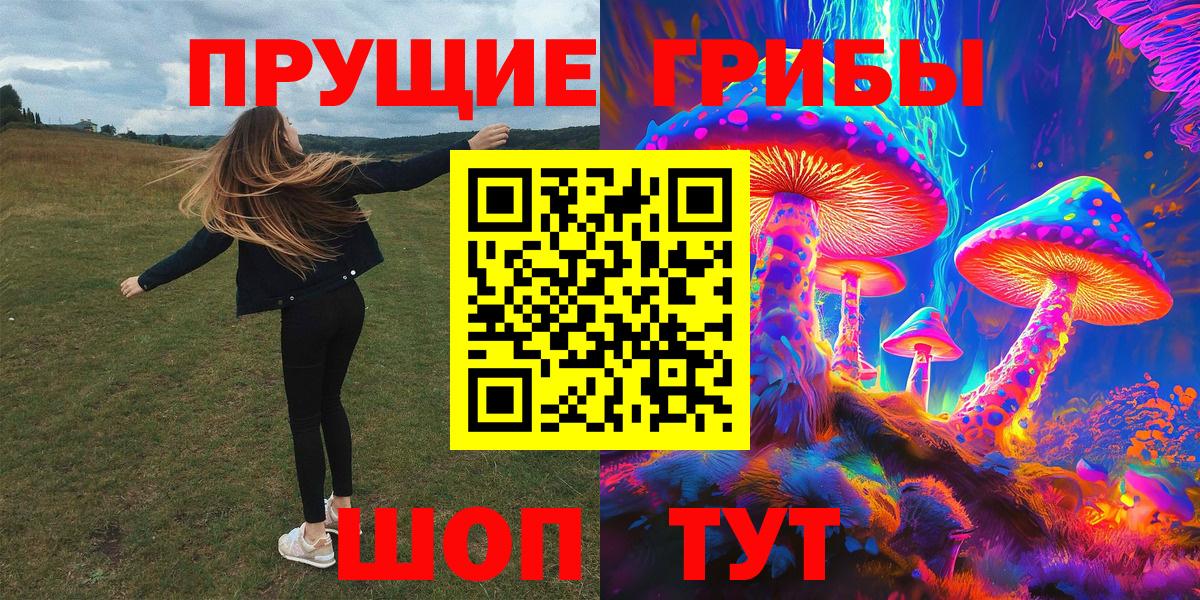Галлюциногенные грибы Psilocybine cubensis Санкт-Петербург